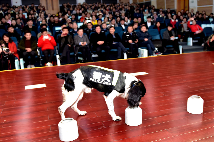 DSC_4738_副本.jpg DSC_4738_副本.jpg